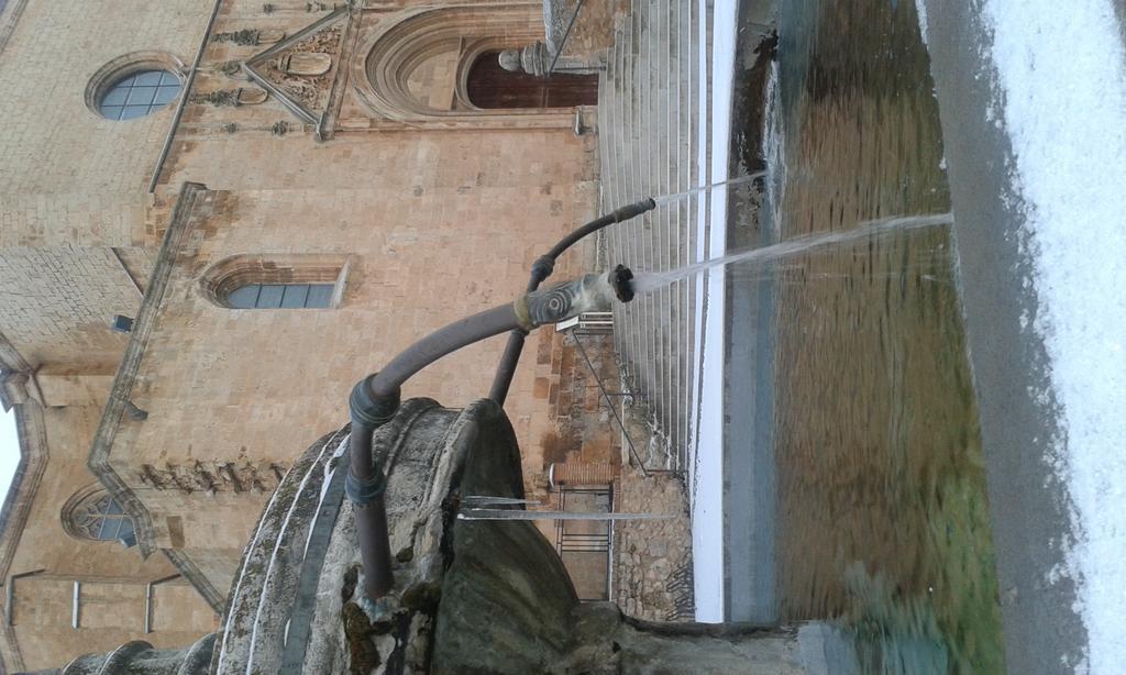 Hotel Las Casas De Pandreula Berlanga de Duero Exterior foto
